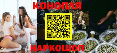 шишки Коммунар