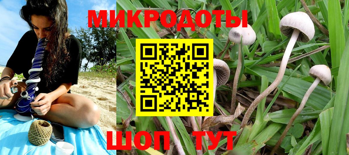 Псилоцибиновые грибы мицелий Кстово