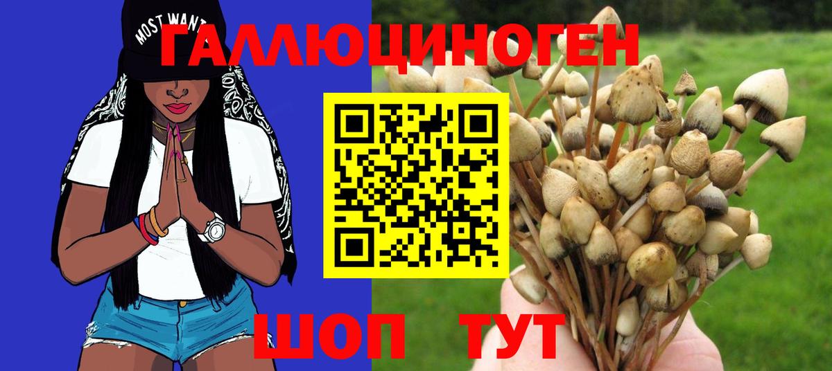 Галлюциногенные грибы GOLDEN TEACHER  Вход с VPN  Кстово 